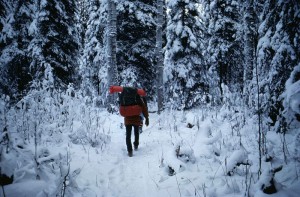 800px-Man_with_backpacking_walking_in_forest_at_winter